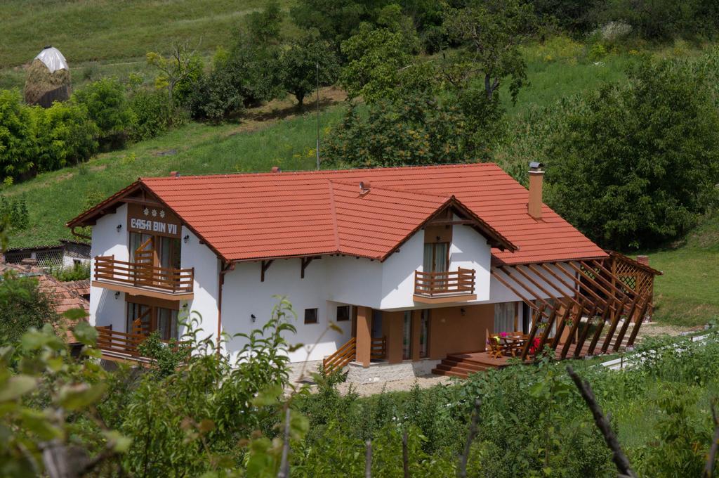 Pensiunea Casa Din VII Seusa Exterior foto